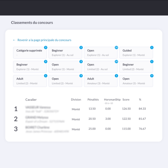 Plataforma de concursos - Clasificación por categoría